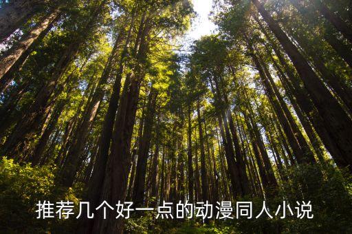 推薦幾個(gè)好一點(diǎn)的動(dòng)漫同人小說