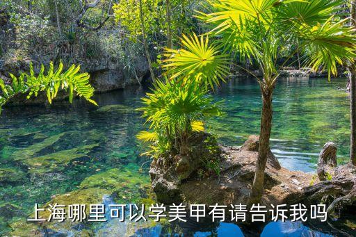 上海市朝路有美甲學校嗎，上海有培訓美甲的學校么