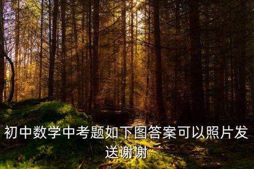 上海市2018年初中數學中考試卷，初三上海數學物理化學的 中考題 附加答案