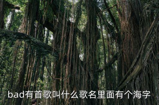 bad有首歌叫什么歌名里面有個(gè)海字