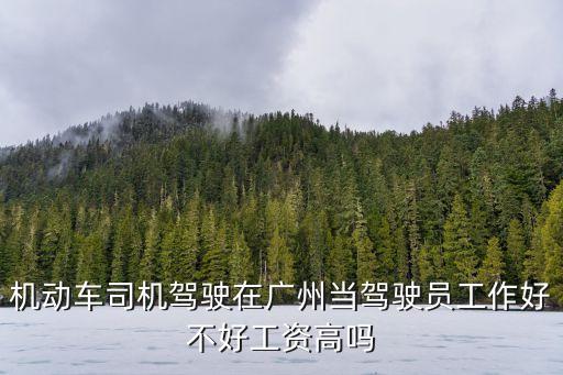 機動車司機駕駛在廣州當駕駛員工作好不好工資高嗎