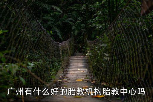 廣州有什么好的胎教機構胎教中心嗎