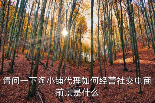 請問一下淘小鋪代理如何經(jīng)營社交電商前景是什么