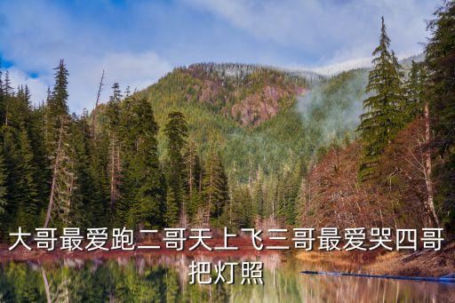 大哥最愛跑二哥天上飛三哥最愛哭四哥把燈照