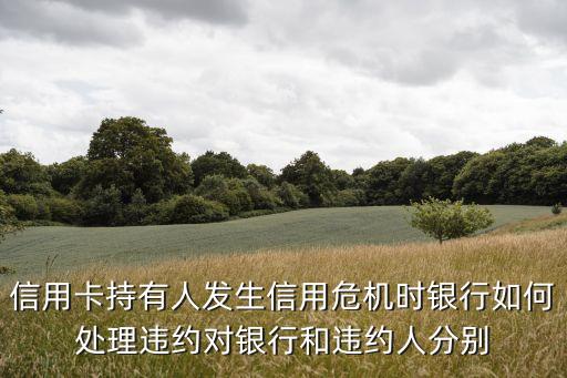 信用危機，什么是信用卡危機