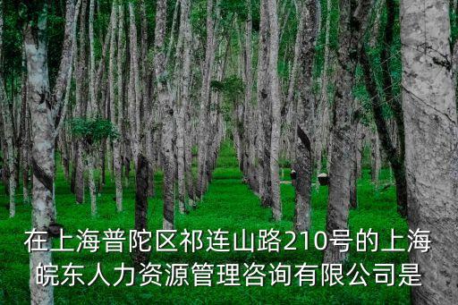 上海市普陀區(qū)王建寧，在上海普陀區(qū)祁連山路210號的上海皖東人力資源管理咨詢有限公司是