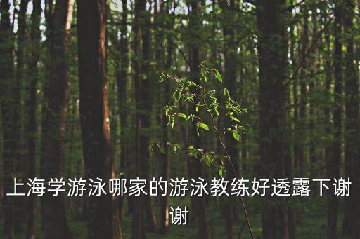 上海學游泳哪家的游泳教練好透露下謝謝