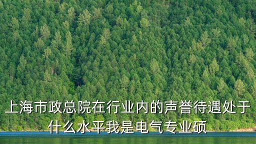 上海市政總院電氣年薪多少錢(qián)，有誰(shuí)知道上海電氣的工資待遇啊