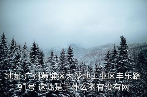 廣州市黃埔區(qū)夏崗街社區(qū)服務(wù)中心，地址 廣州黃埔區(qū)大沙地工業(yè)區(qū)豐樂路91號 這兒是干什么的有沒有網(wǎng)