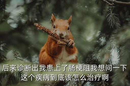 后來診斷出我患上了腸梗阻我想問一下這個疾病到底該怎么治療啊
