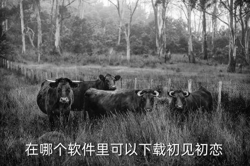 初見初戀，求孫怡唱的初見初戀mp3求發(fā)百度盤分享