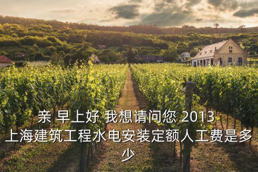 親 早上好 我想請(qǐng)問(wèn)您 2013 上海建筑工程水電安裝定額人工費(fèi)是多少