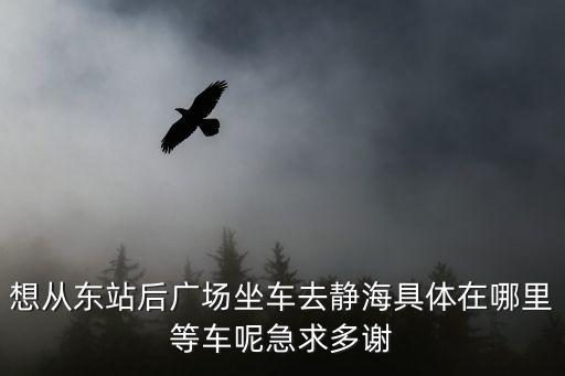 廣州到靜海坐什么車，想從東站后廣場坐車去靜海具體在哪里等車呢急求多謝