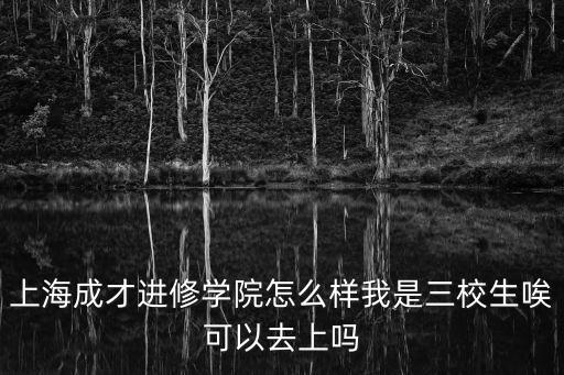 上海成才進(jìn)修學(xué)院怎么樣我是三校生唉可以去上嗎
