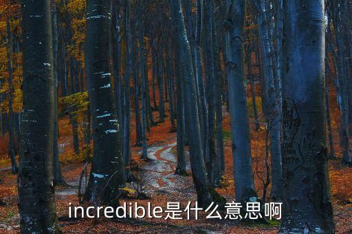 incredible是什么意思啊
