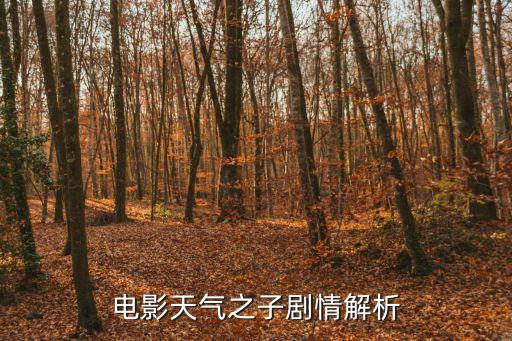 電影天氣之子劇情解析