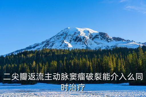 二尖瓣返流主動脈竇瘤破裂能介入么同時治療