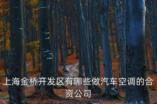 上海市晟興汽車空調，長寧區專業空調維修公司電話上海長寧區安裝空調專業移機