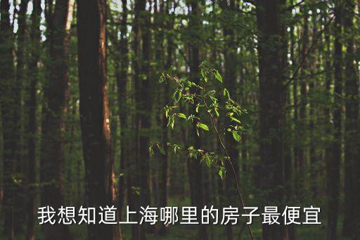 我想知道上海哪里的房子最便宜