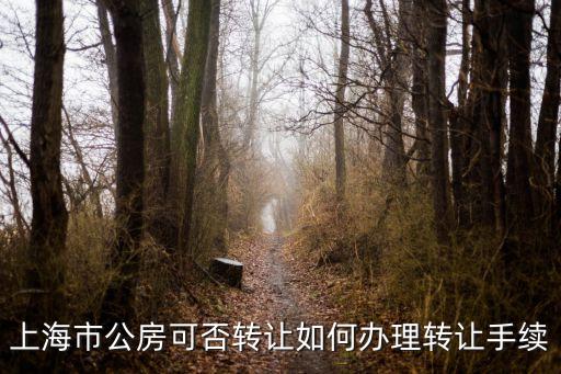 上海市公房可否轉讓如何辦理轉讓手續