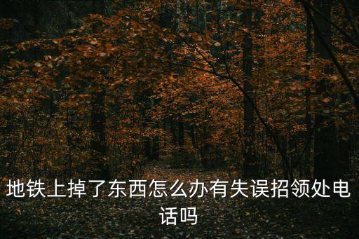 地鐵上掉了東西怎么辦有失誤招領處電話嗎