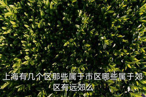 上海有幾個區那些屬于市區哪些屬于郊區有遠郊么