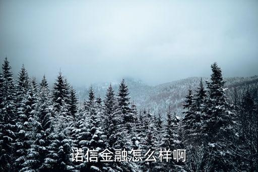 諾信金融怎么樣啊