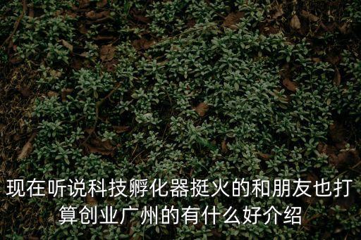 現(xiàn)在聽(tīng)說(shuō)科技孵化器挺火的和朋友也打算創(chuàng)業(yè)廣州的有什么好介紹