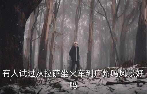 有人試過從拉薩坐火車到廣州嗎風景好嗎
