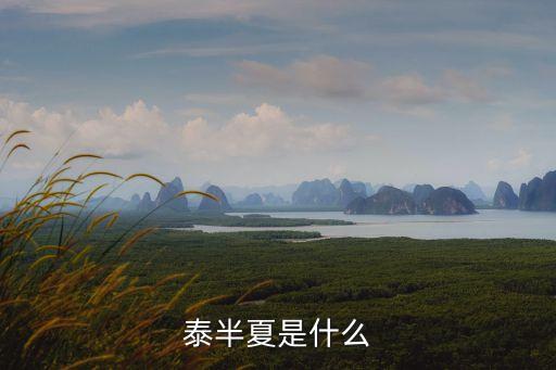 泰半，請(qǐng)教泰半無(wú)望是什么意思