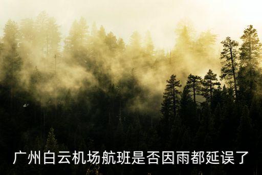 廣州白云機場航班是否因雨都延誤了