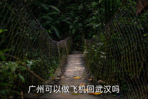 廣州可以做飛機(jī)回武漢嗎