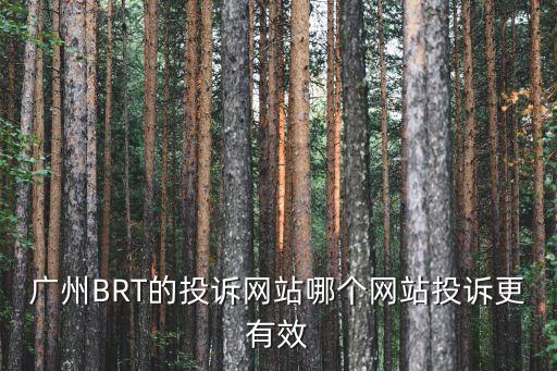 廣州BRT的投訴網站哪個網站投訴更有效