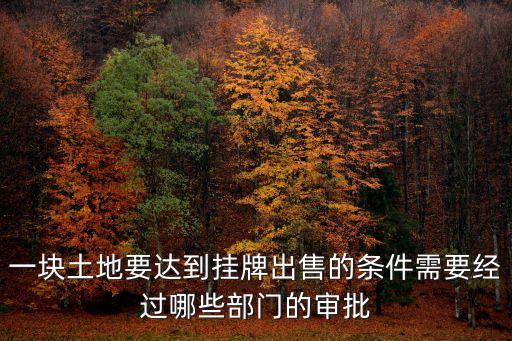 一塊土地要達(dá)到掛牌出售的條件需要經(jīng)過哪些部門的審批
