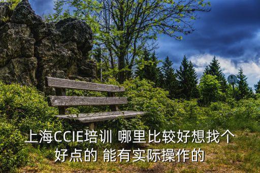 上海CCIE培訓 哪里比較好想找個好點的 能有實際操作的
