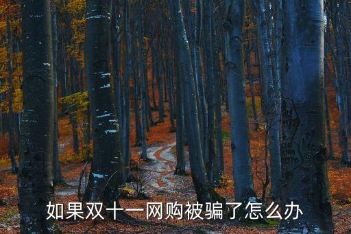如果雙十一網購被騙了怎么辦
