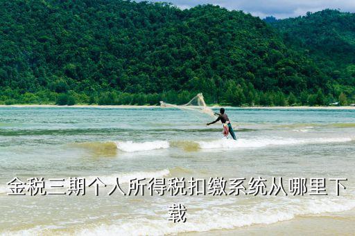 金稅三期個人所得稅扣繳系統從哪里下載