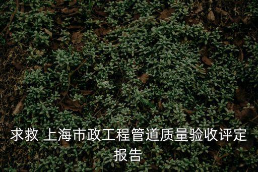 上海市政道路工程評估報告，求救 上海市政工程管道質量驗收評定報告