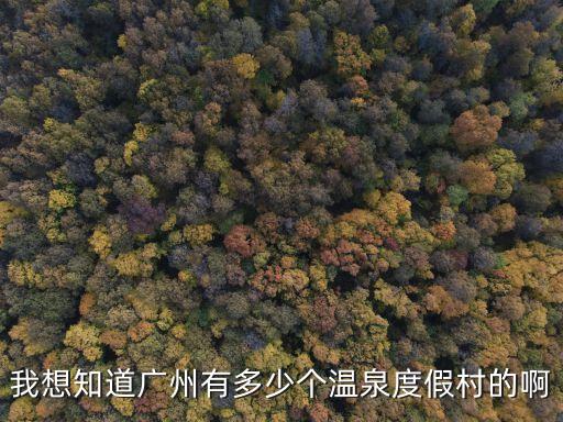 廣州哪有別墅溫泉度假村，廣東省內(nèi)有什么好的溫泉別墅介紹
