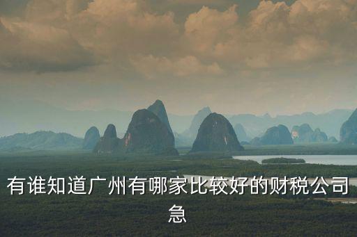 廣州口碑好的稅務籌劃服務，有誰知道廣州有哪家比較好的財稅公司急