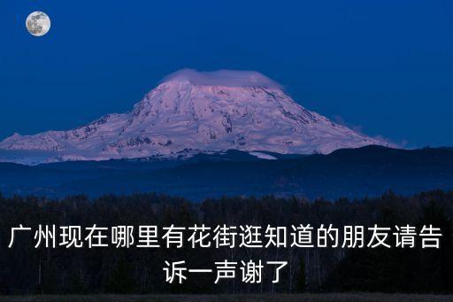 廣州最新的花市，廣州花卉批發市場