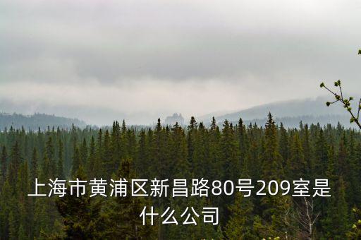 上海市黃浦區新昌路80號209室是什么公司