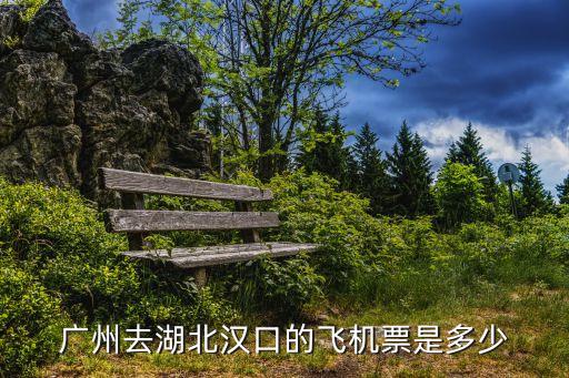 廣州到武漢坐飛機需要什么碼，廣州可以做飛機回武漢嗎