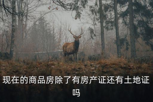 現在的商品房除了有房產證還有土地證嗎