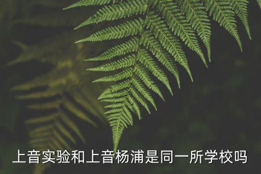 上音實驗和上音楊浦是同一所學校嗎
