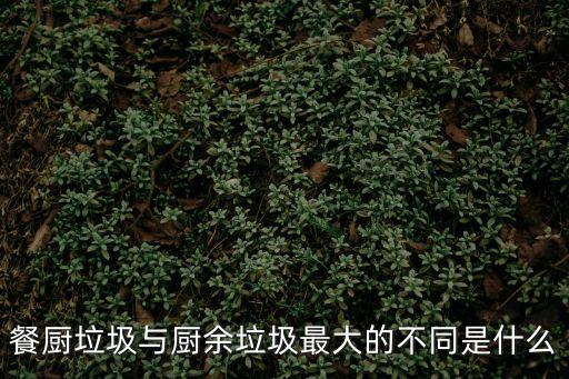 餐廚垃圾與廚余垃圾最大的不同是什么