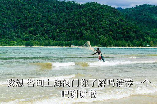 上海市輝煌閥門有限公司怎么樣，上海的閥門廠哪些比較好