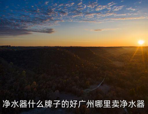 凈水器什么牌子的好廣州哪里賣凈水器
