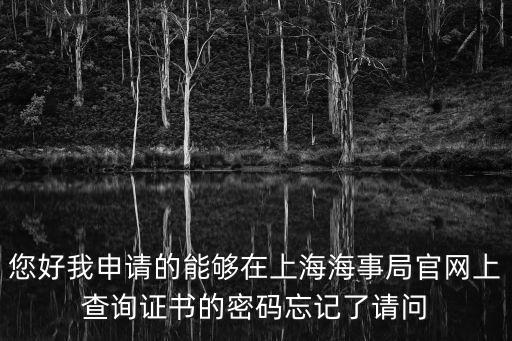 您好我申請的能夠在上海海事局官網(wǎng)上查詢證書的密碼忘記了請問