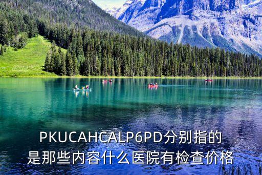 PKUCAHCALP6PD分別指的是那些內容什么醫院有檢查價格